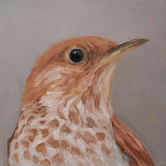 birds