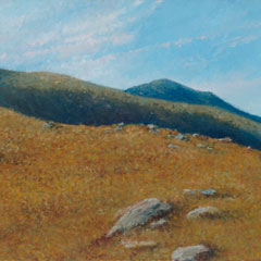 Mountains & Fields