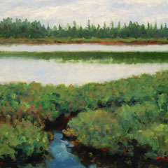 wetlands