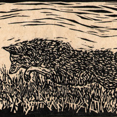 woodcuts